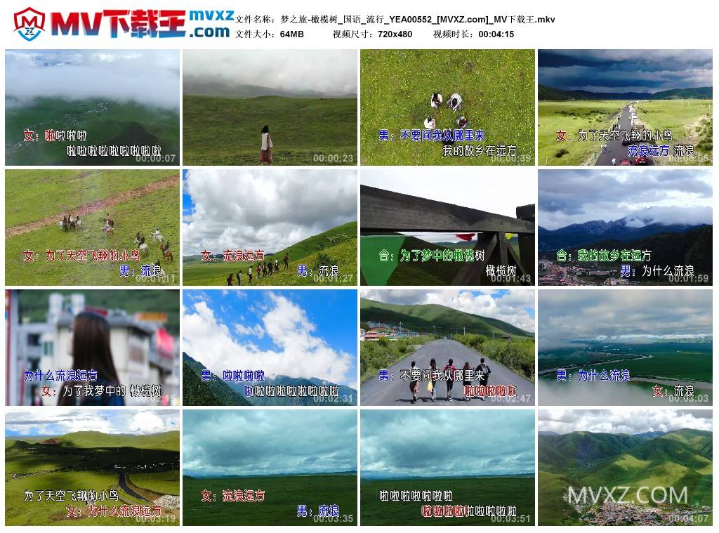 梦之旅-橄榄树_国语_流行_YEA00552